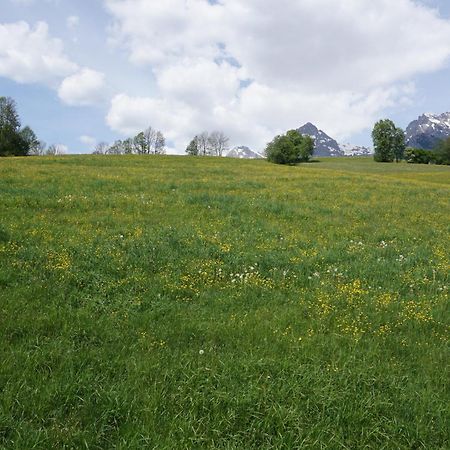 Pension & Appartements Anny Maria Alm am Steinernen Meer Exteriér fotografie