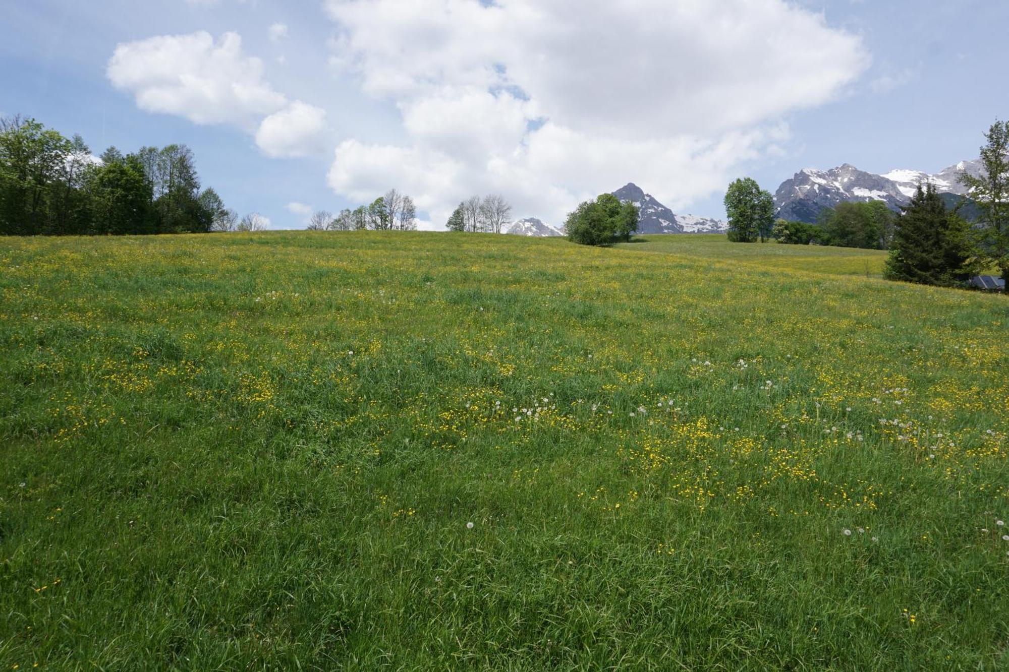 Pension & Appartements Anny Maria Alm am Steinernen Meer Exteriér fotografie