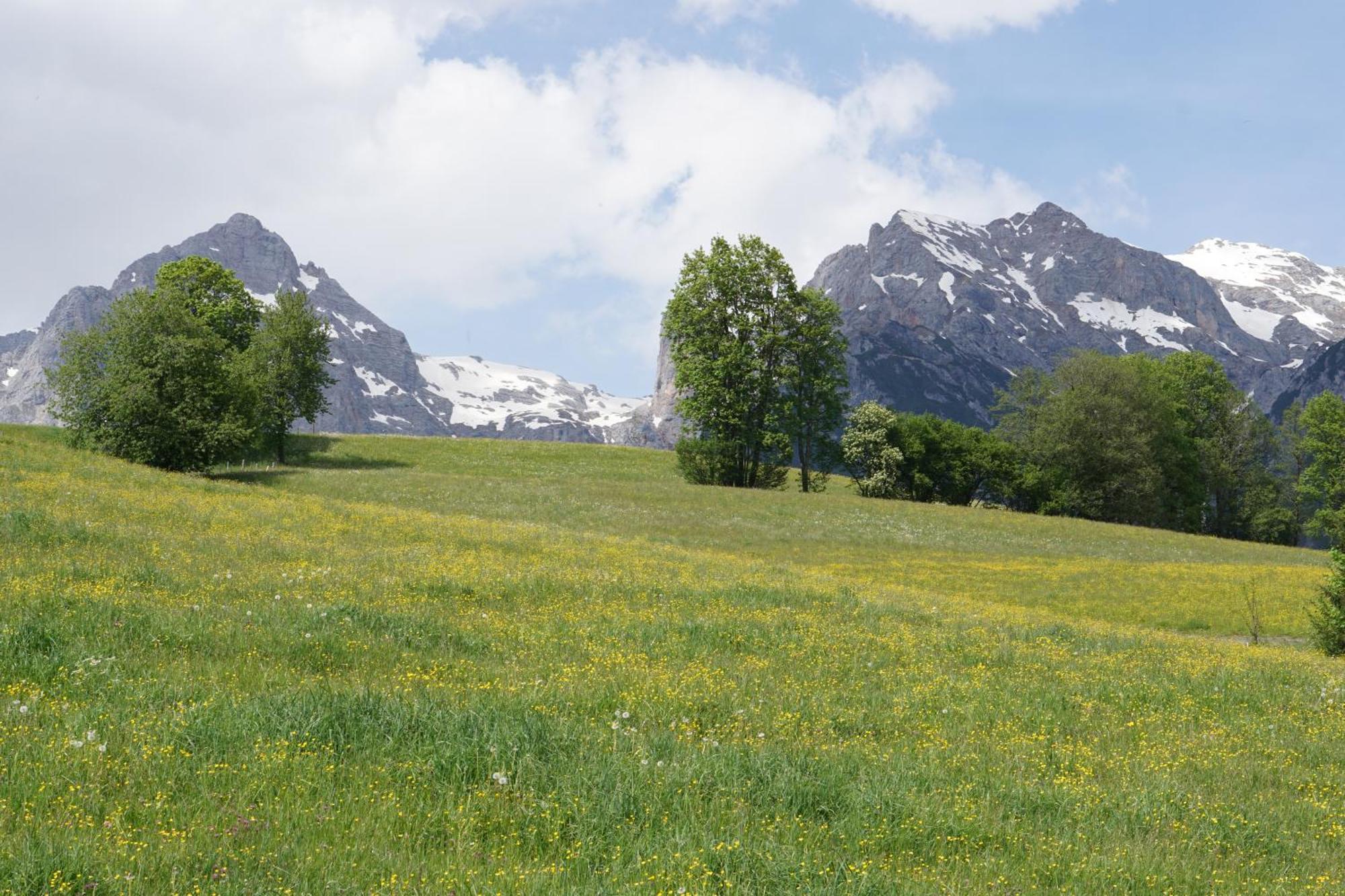 Pension & Appartements Anny Maria Alm am Steinernen Meer Exteriér fotografie